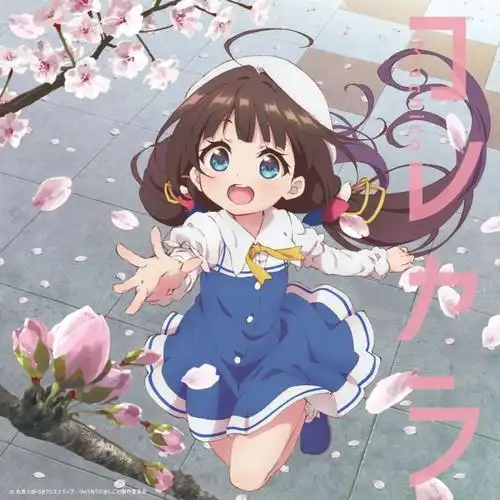 游侠夜风